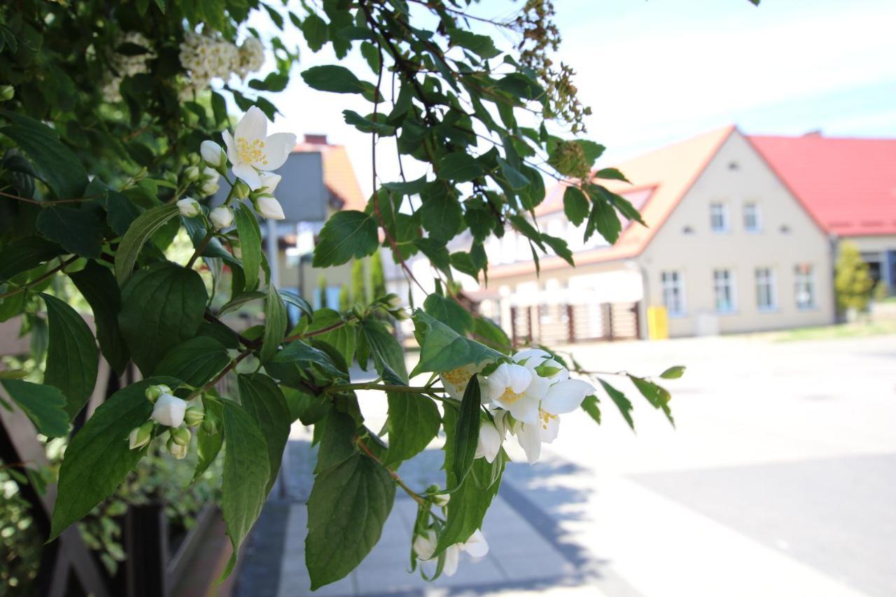 Apartamenty Royal Maris 1 - Najlepsza Lokalizacja W Ustce, Blisko Plazy I Portu, Bezplatny Parking, Scisle Centrum Ustka Buitenkant foto